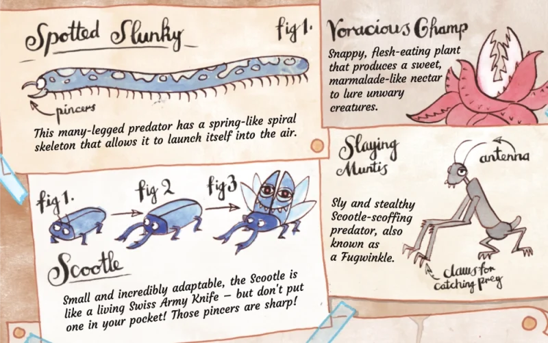 explorer notes